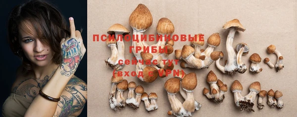 прущие крисы Беломорск
