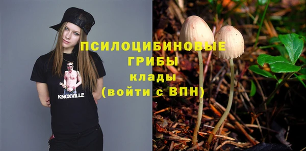 прущие крисы Беломорск