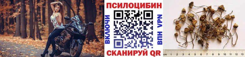 где купить наркотик  Жиздра  KRAKEN рабочий сайт  Галлюциногенные грибы ЛСД 